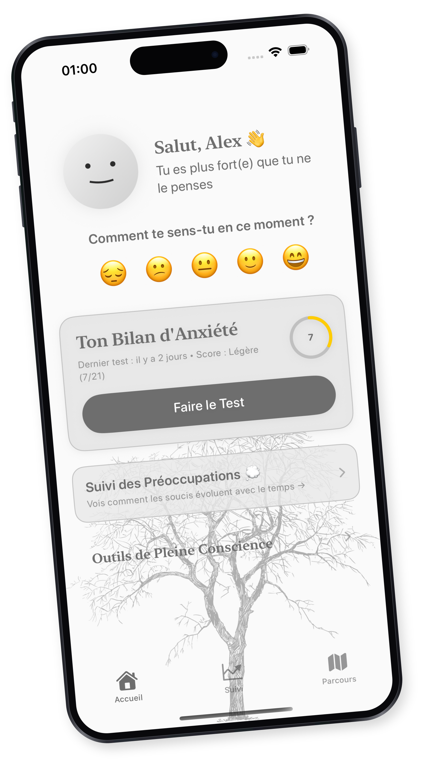 Accueil de Balmi avec le compagnon, les humeurs et un bilan d’anxiété récent