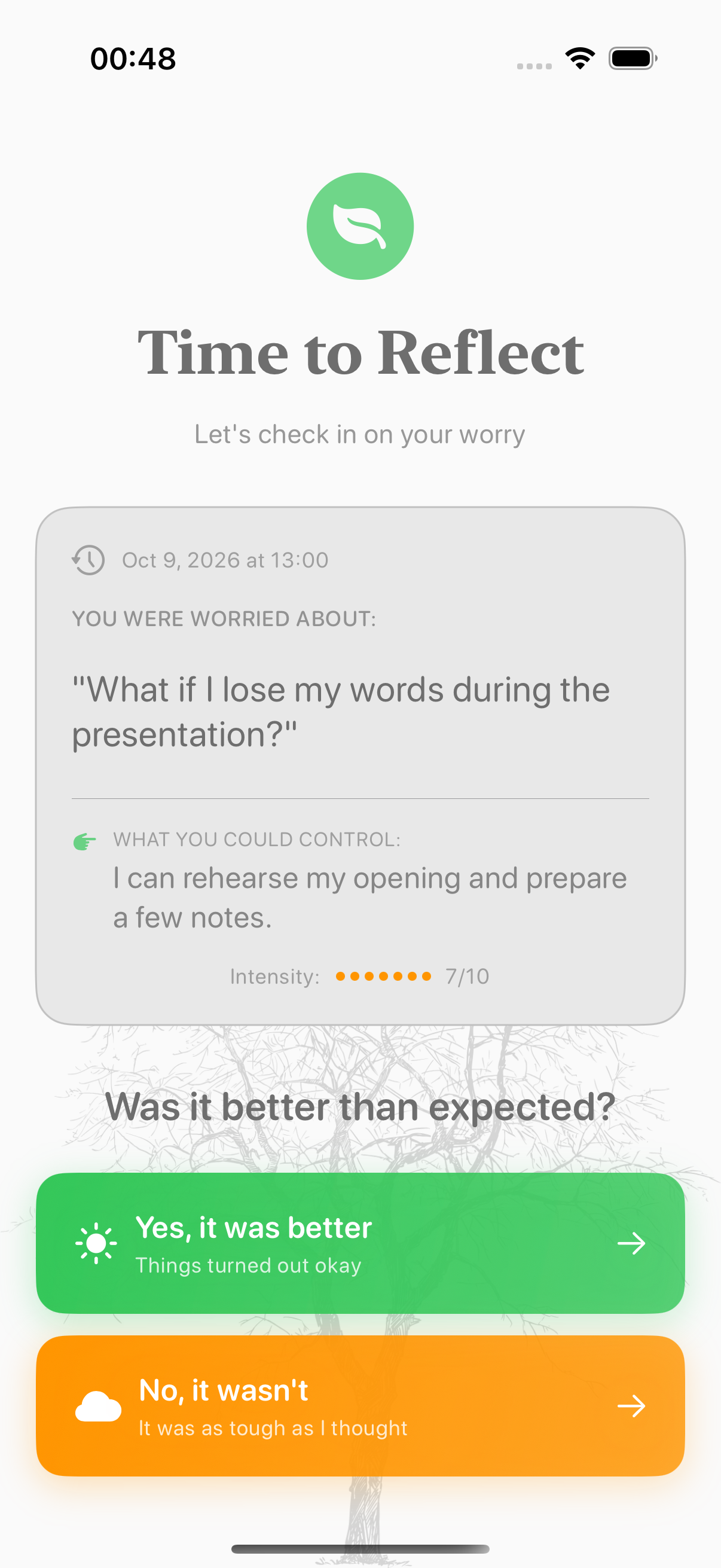 Balmi reflection flow for recording how a worry turned out