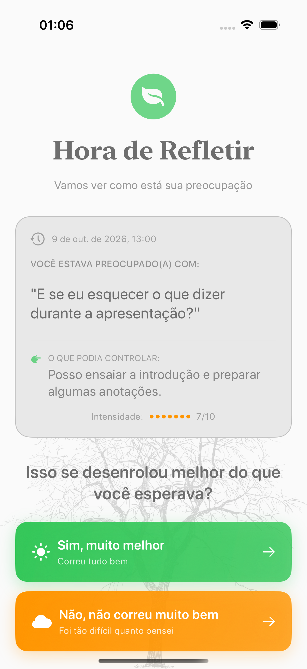 Tela de reflexão do Balmi para registrar o resultado de uma preocupação