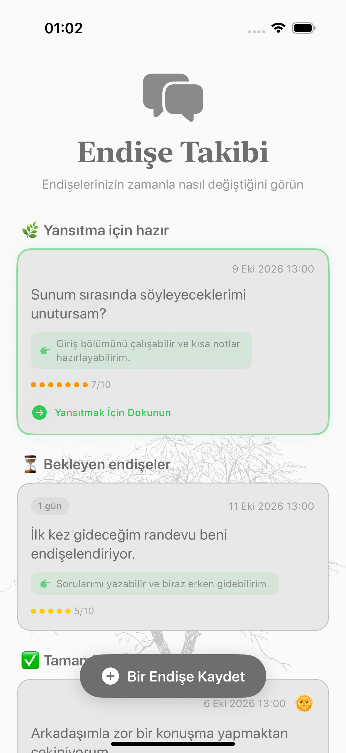 Balmi endişe günlüğünde endişeler ve yoğunlukları