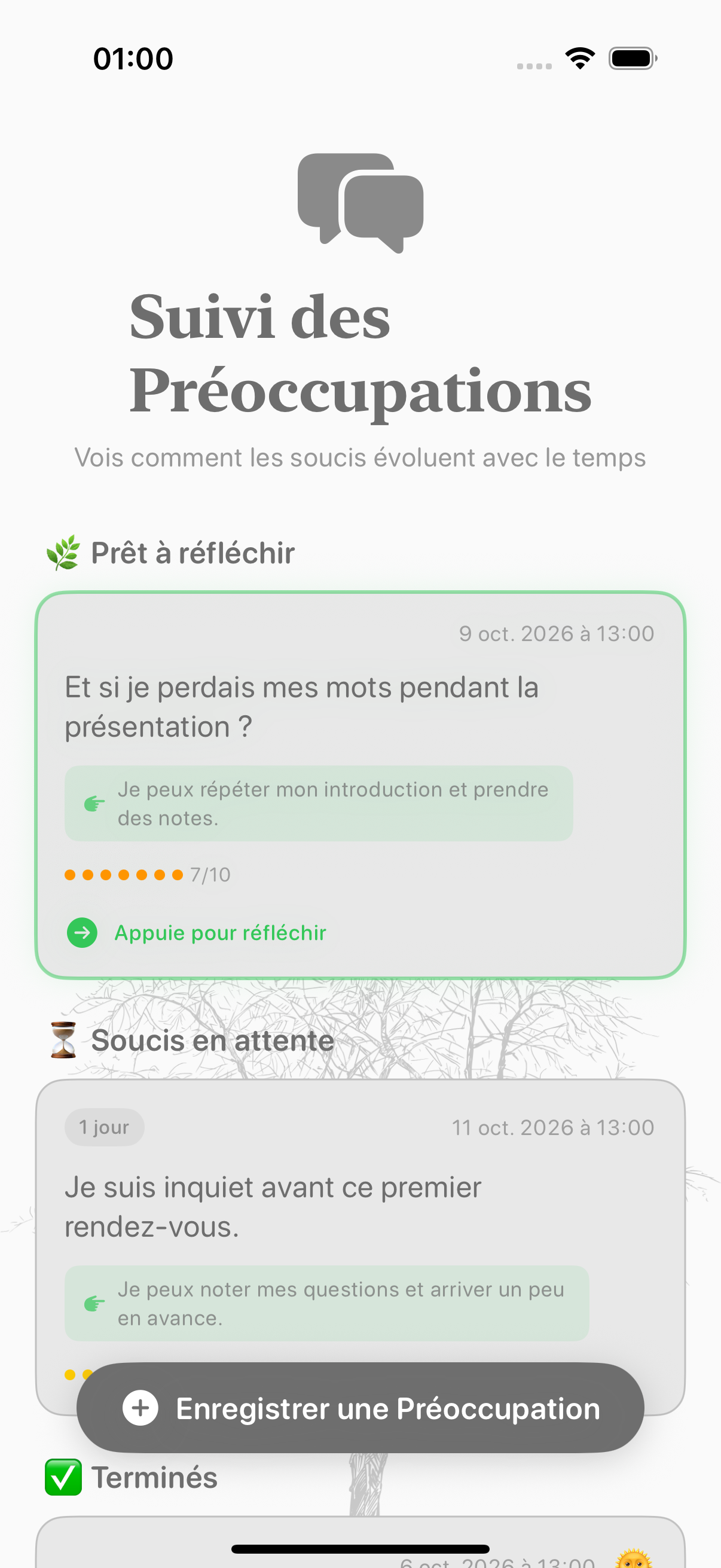 Journal Balmi affichant des inquiétudes et leur intensité